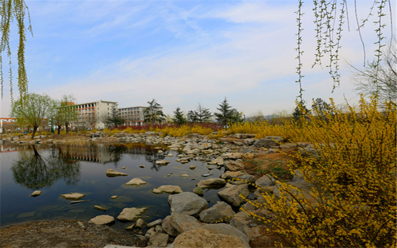 多少分可以上山東城市建設(shè)職業(yè)學(xué)院？山東城市建設(shè)職業(yè)學(xué)院2022年在河北各招生專業(yè)錄取分?jǐn)?shù)匯總