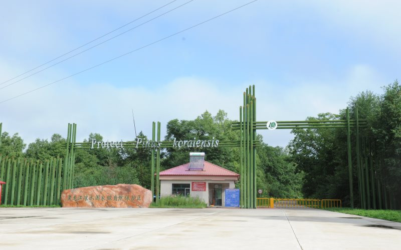 東北林業(yè)大學機械類（機電）專業(yè)錄取分數(shù)線【云南高考理科】