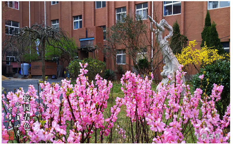 青島理工大學建筑環(huán)境與能源應用工程專業(yè)錄取分數(shù)線【重慶高考物理類】