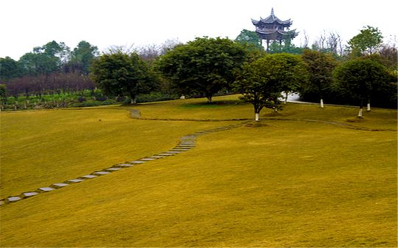 重慶大學理科試驗班（數(shù)學物理類）專業(yè)在內蒙古招生錄取分數(shù)(理科)：583分