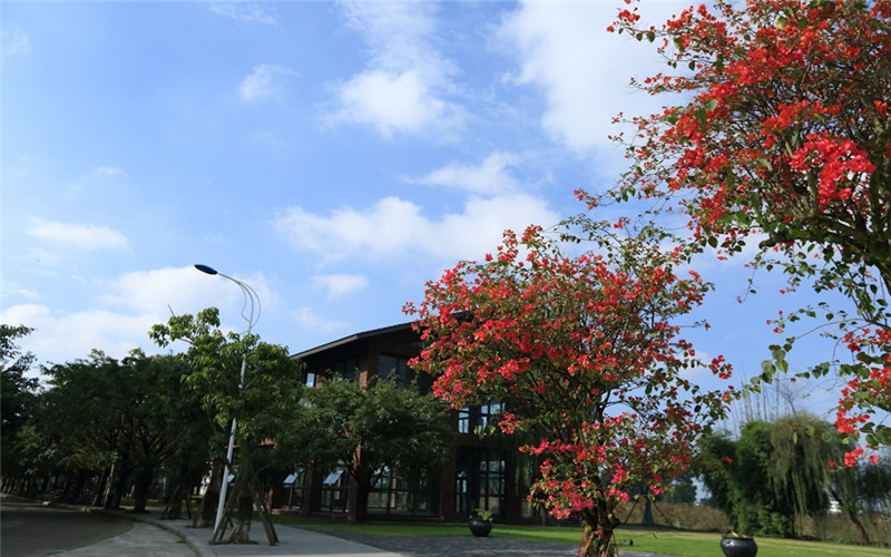 四川大學(xué)錦江學(xué)院人力資源管理專業(yè)錄取分數(shù)線【浙江高考綜合】