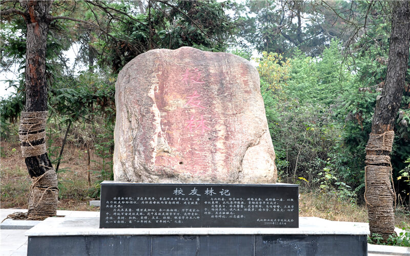 武漢職業(yè)技術(shù)學(xué)院電子信息類專業(yè)在河北招生錄取分數(shù)(物理類)：428分