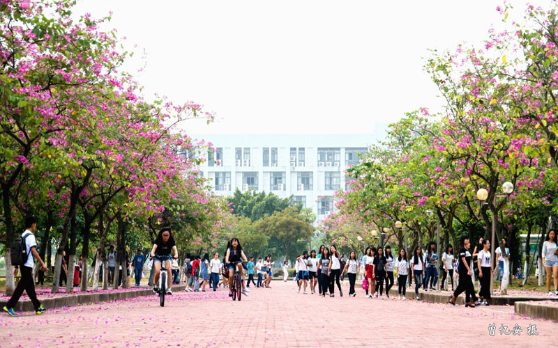 2023年廣東科學(xué)技術(shù)職業(yè)學(xué)院在寧夏招生專業(yè)及招生人數(shù)匯總