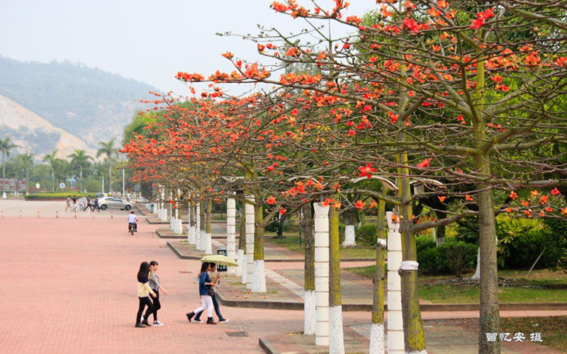 多少分可以上廣東科學技術職業(yè)學院？廣東科學技術職業(yè)學院2022年在甘肅各招生專業(yè)錄取分數(shù)匯總