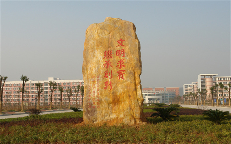 湖南中醫(yī)藥大學(xué)湘杏學(xué)院針灸推拿學(xué)專業(yè)錄取分?jǐn)?shù)線【重慶高考物理類】