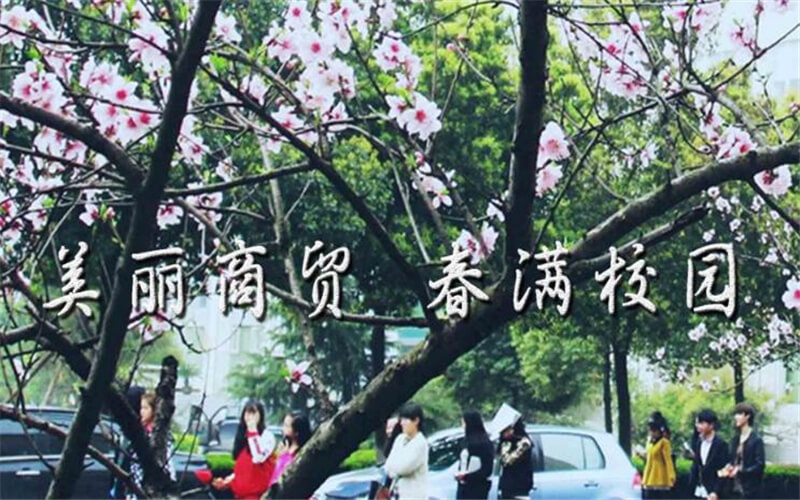 武漢商貿職業(yè)學院高速鐵路客運服務專業(yè)在山東招生錄取分數(shù)(綜合)：288分