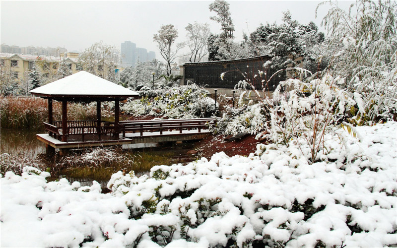 云南工貿(mào)職業(yè)技術(shù)學(xué)院烹飪工藝與營(yíng)養(yǎng)專業(yè)錄取分?jǐn)?shù)線【云南高考理科】