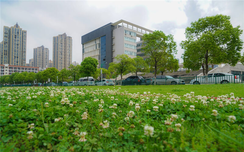 武漢城市職業(yè)學院學前教育（師范）專業(yè)錄取分數(shù)線【四川高考理科】