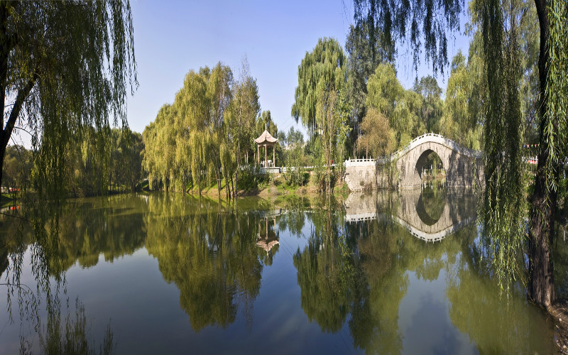 河北歷史類考生排多少名可以上山西同文職業(yè)技術(shù)學(xué)院醫(yī)學(xué)影像技術(shù)專業(yè)?