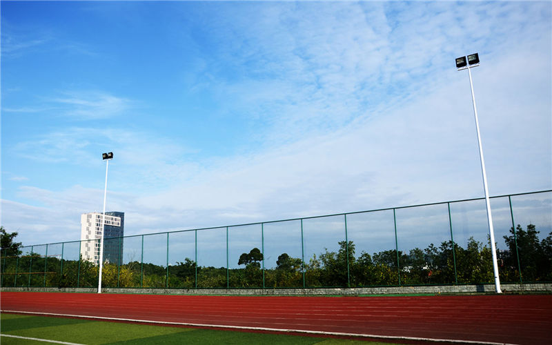 西南財經大學天府學院金融學專業(yè)在山東招生錄取分數(shù)(綜合)：468分