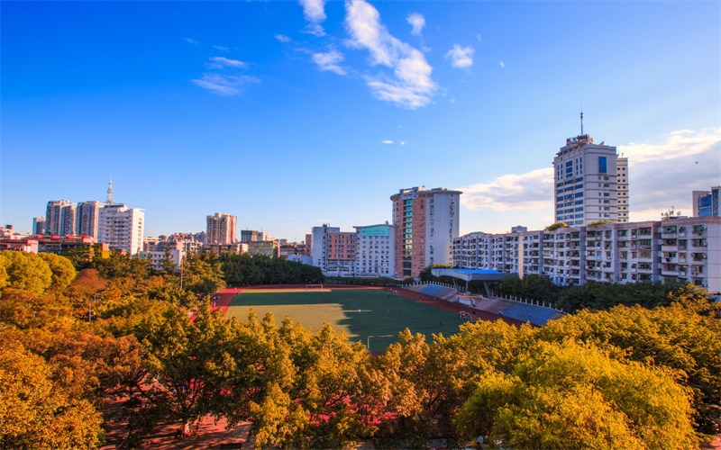 2024年川北醫(yī)學(xué)院助產(chǎn)學(xué)專業(yè)在重慶錄取分?jǐn)?shù)線參考