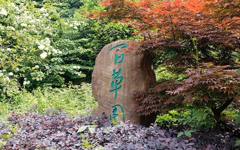 多少分可以上淮南職業(yè)技術(shù)學(xué)院？淮南職業(yè)技術(shù)學(xué)院2022年在河北各招生專業(yè)錄取分?jǐn)?shù)匯總