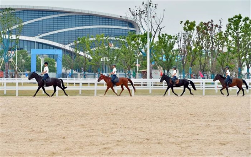 【2023高考參考】武漢商學(xué)院2022年浙江招生專業(yè)及招生計(jì)劃一覽表