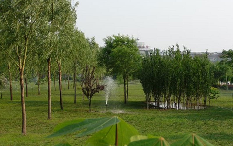 廊坊職業(yè)技術(shù)學院食品質(zhì)量與安全專業(yè)在河北招生錄取分數(shù)(物理類)：388分