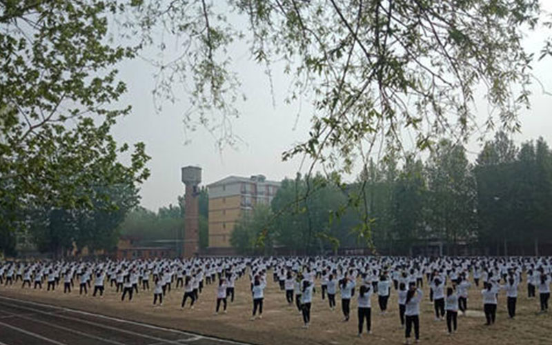 保定幼兒師范高等?？茖W校學前教育專業(yè)錄取分數線【陜西高考文科】