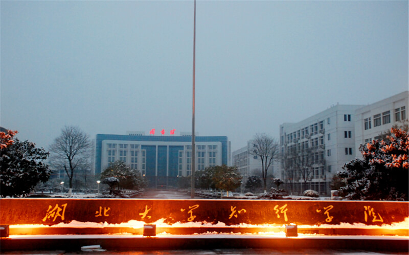 河北物理類考生排多少名可以上湖北大學(xué)知行學(xué)院化學(xué)工程與工藝（化學(xué)制藥方向）專業(yè)?