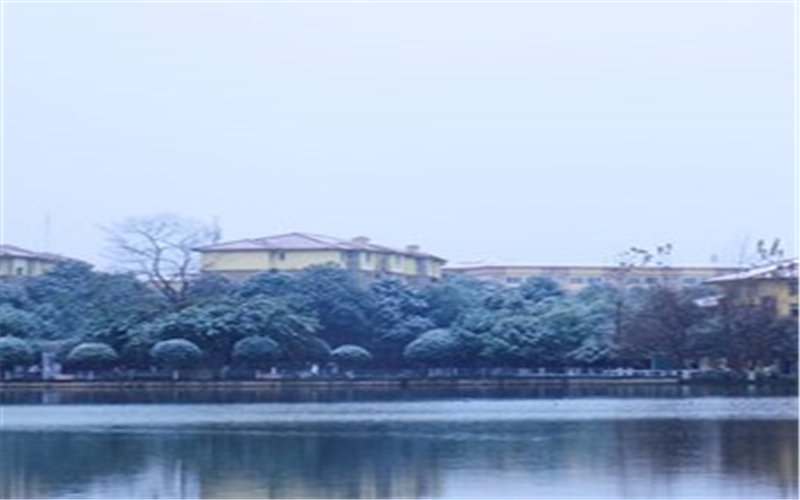 多少分可以上四川外國語大學成都學院？四川外國語大學成都學院2022年在甘肅各招生專業(yè)錄取分數(shù)匯總