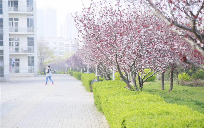 2023年河南推拿職業(yè)學院在河北招生專業(yè)及招生人數(shù)匯總