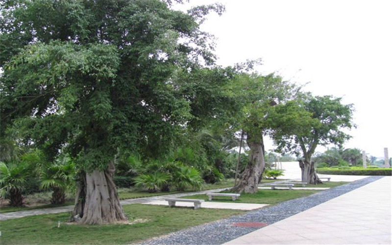 河北物理類考生排多少名可以上三亞航空旅游職業(yè)學(xué)院港口與航運管理專業(yè)?