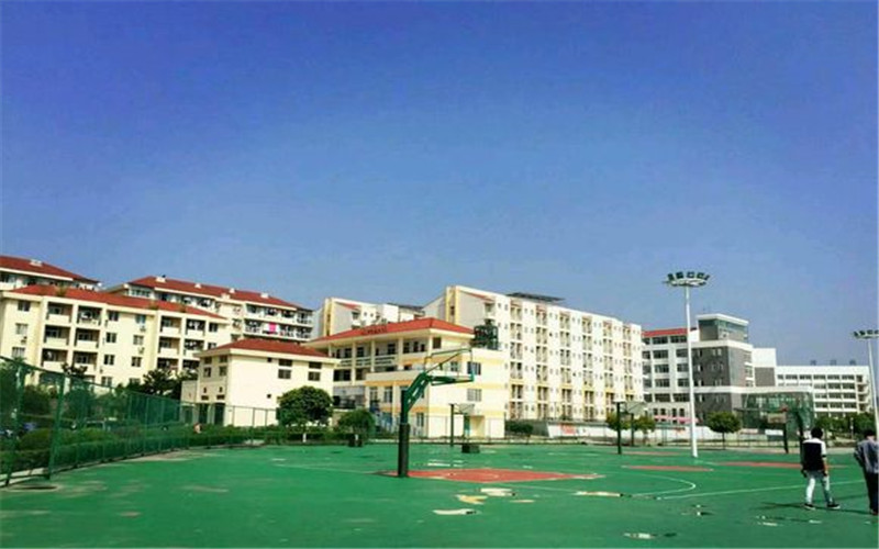 西南科技大學(xué)城市學(xué)院財(cái)務(wù)管理專業(yè)在河北招生錄取分?jǐn)?shù)(物理類)：456分