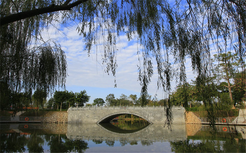 2023年廣州華夏職業(yè)學(xué)院在河南招生專業(yè)及招生人數(shù)匯總