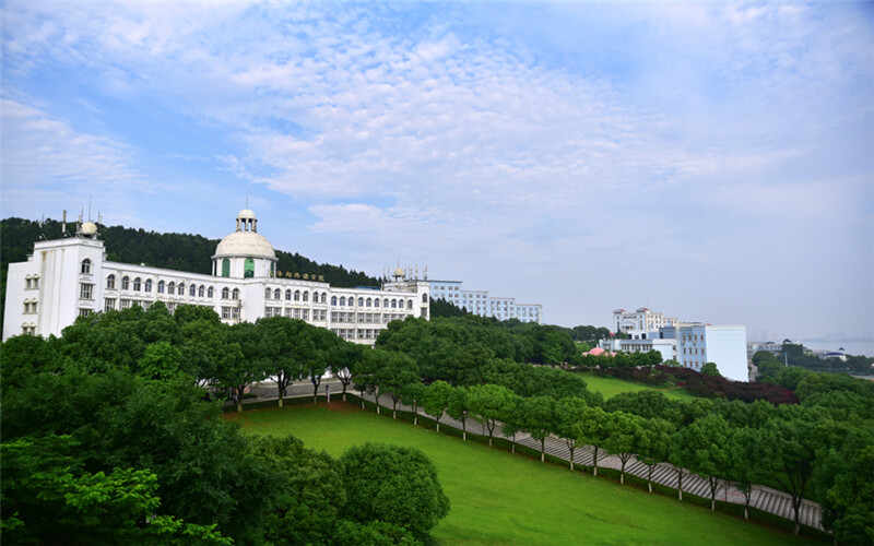 2023年河北考生多少分可以上武昌理工學(xué)院數(shù)據(jù)科學(xué)與大數(shù)據(jù)技術(shù)（科大訊飛精英班）專業(yè)？