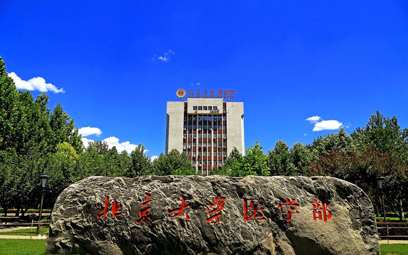 2023年北京大學(xué)醫(yī)學(xué)部在浙江招生專業(yè)及招生人數(shù)匯總