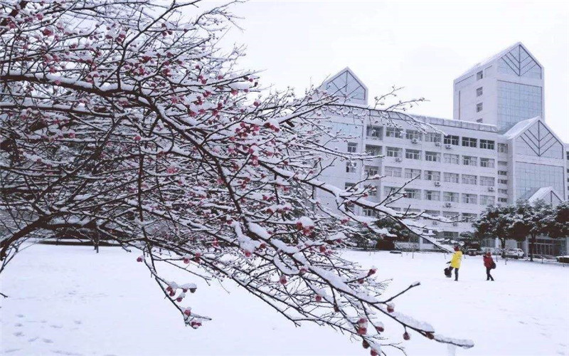 2023年浙江水利水電學院在四川招生專業(yè)及招生人數(shù)匯總