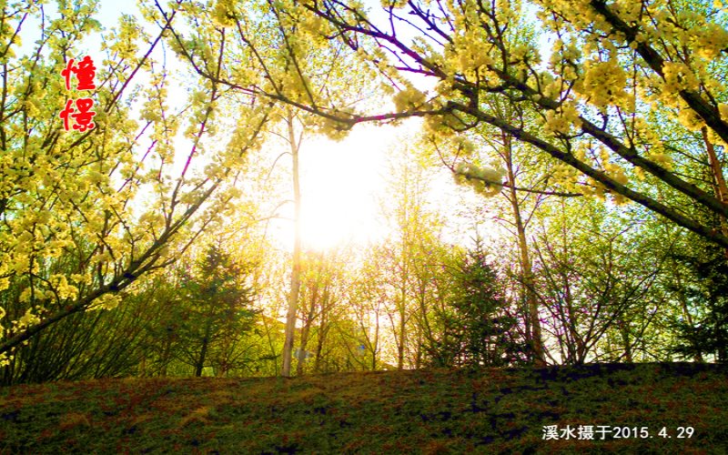 河北物理類考生排多少名可以上吉林科技職業(yè)技術(shù)學(xué)院道路與橋梁工程技術(shù)專業(yè)?