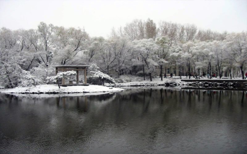 長春師范大學(xué)生物科學(xué)專業(yè)錄取分?jǐn)?shù)線【山東高考綜合】