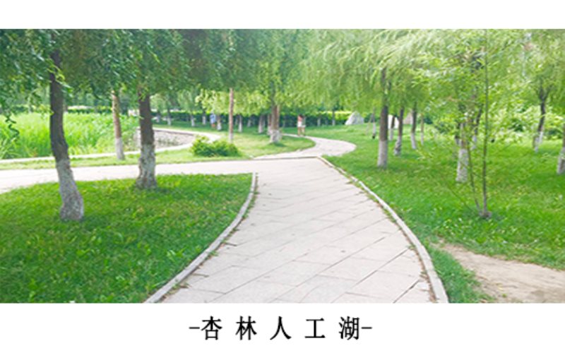 遼寧中醫(yī)藥大學杏林學院針灸推拿學專業(yè)錄取分數(shù)線【遼寧高考物理類】