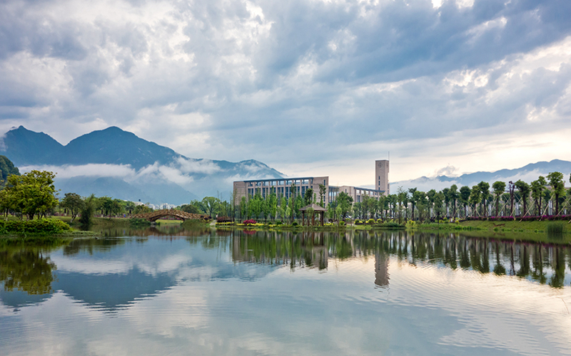 福州大學社會學專業(yè)錄取分數(shù)線【福建高考歷史類】