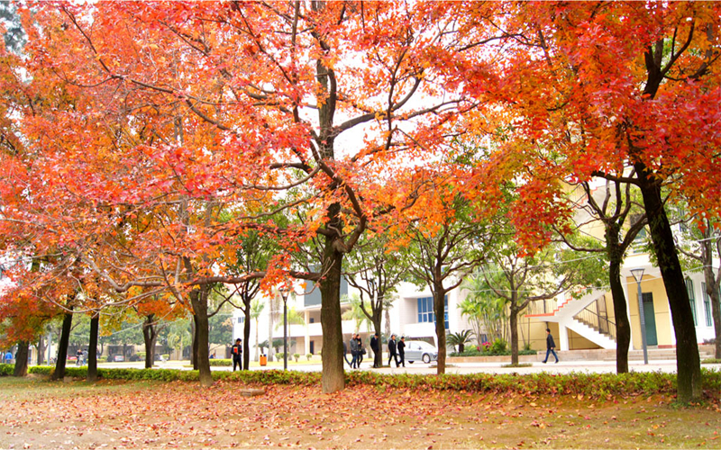 福州大學少數(shù)民族預科班專業(yè)錄取分數(shù)線【內蒙古高考理科】