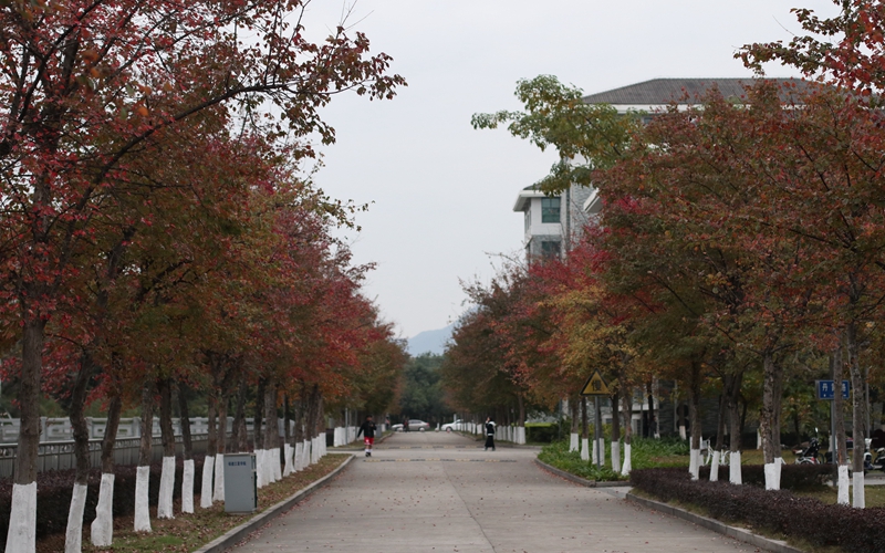 2023年福建江夏學(xué)院在山東招生專業(yè)及招生人數(shù)匯總