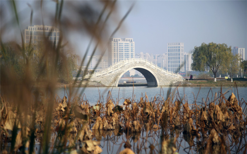 湖南文理學院醫(yī)學檢驗技術專業(yè)在浙江招生錄取分數(shù)(綜合)：567分