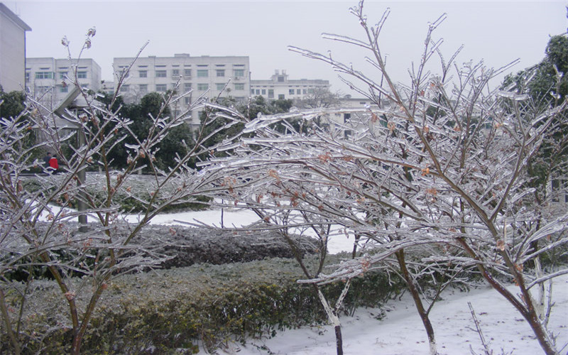 湖南環(huán)境生物職業(yè)技術(shù)學(xué)院森林和草原資源保護(hù)專業(yè)錄取分?jǐn)?shù)線【云南高考文科】