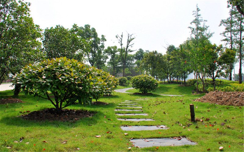 安徽城市管理職業(yè)學(xué)院金融服務(wù)與管理專業(yè)在山東招生錄取分?jǐn)?shù)(綜合)：375分