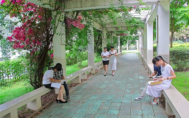 廣西理工職業(yè)技術學院嬰幼兒托育服務與管理專業(yè)錄取分數(shù)線【廣西高考理科】