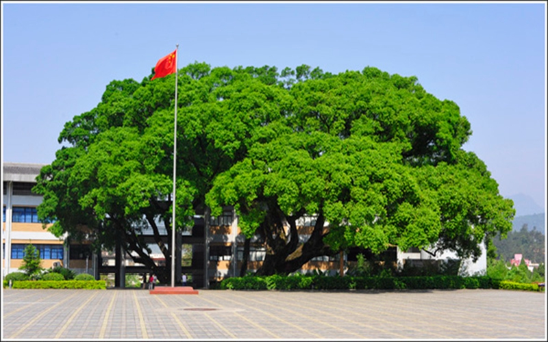 2023年龍巖學院在山東招生專業(yè)及招生人數(shù)匯總