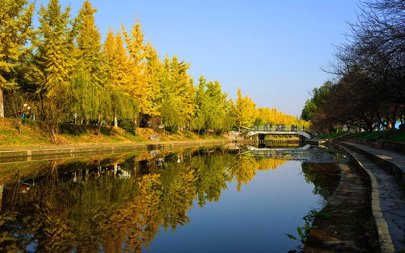 重慶物理類考生排多少名可以上三峽大學(xué)臨床醫(yī)學(xué)專業(yè)?