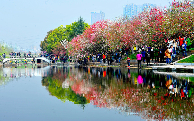 內(nèi)蒙古文科考生排多少名可以上三峽大學(xué)旅游管理專業(yè)?