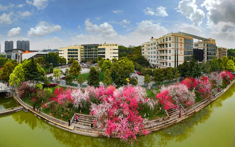 三峽大學(xué)預(yù)科班專業(yè)在重慶招生錄取分數(shù)(歷史類)：519分