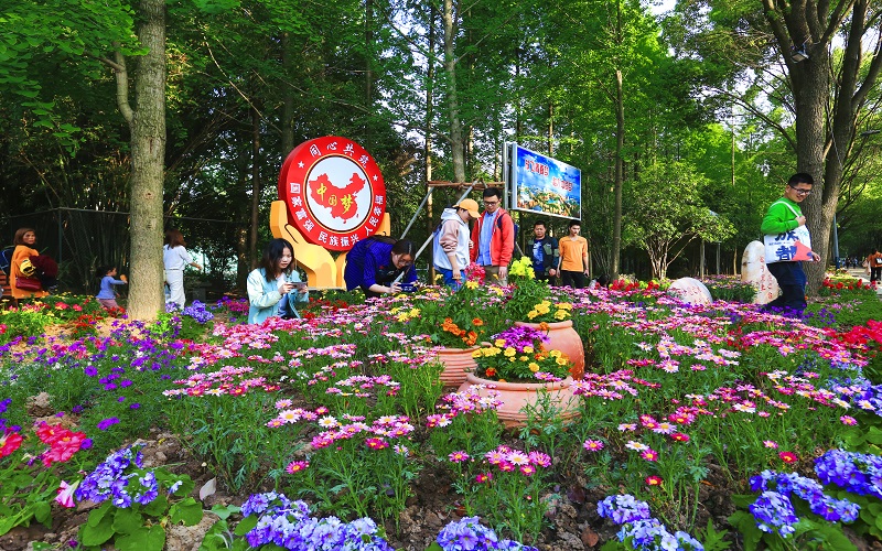 浙江綜合考生排多少名可以上武漢生物工程學(xué)院園林工程技術(shù)專業(yè)?