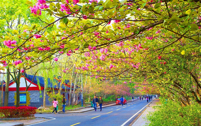 2023年遼寧考生多少分可以上武漢生物工程學(xué)院藥品生產(chǎn)技術(shù)專業(yè)？