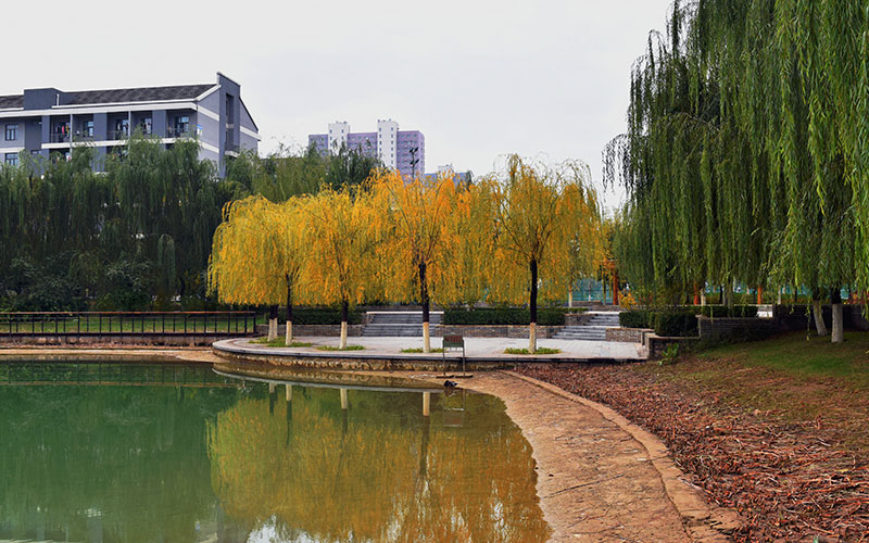 河北師范大學(xué)國(guó)際經(jīng)濟(jì)與貿(mào)易（地方專項(xiàng)計(jì)劃）專業(yè)在河北招生錄取分?jǐn)?shù)(歷史類)：549分