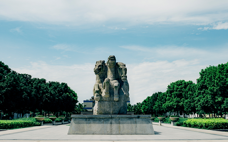 2023年四川交通職業(yè)技術(shù)學(xué)院在甘肅招生專業(yè)及招生人數(shù)匯總