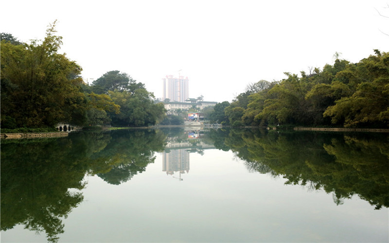 浙江綜合考生排多少名可以上廣西民族大學非物質文化遺產保護專業(yè)?