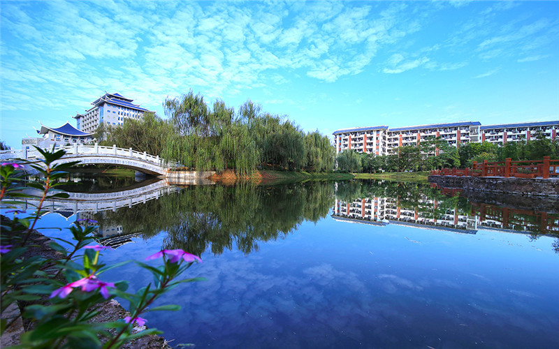 廣西民族大學(xué)相思湖學(xué)院旅游管理專業(yè)在河北招生錄取分?jǐn)?shù)(歷史類)：471分