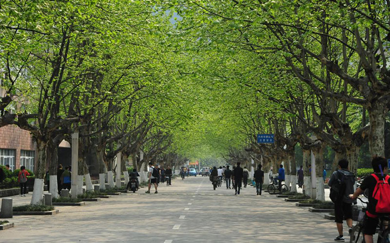 浙江綜合考生排多少名可以上四川農(nóng)業(yè)大學(xué)土地資源管理專業(yè)?