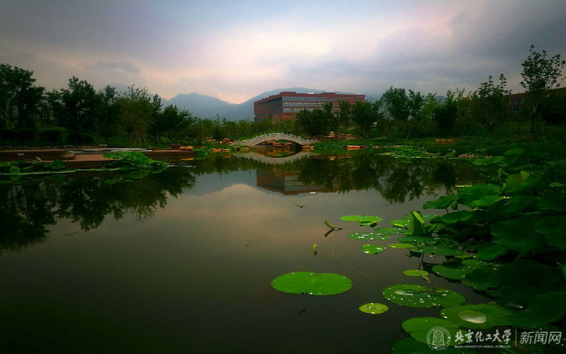 北京化工大學(xué)工科試驗(yàn)班（宏德書院）專業(yè)在山東招生錄取分?jǐn)?shù)(綜合)：601分